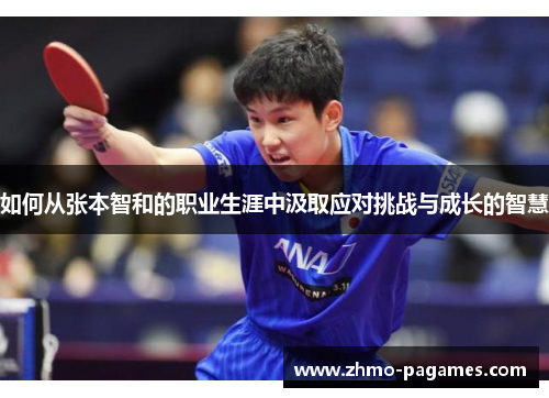如何从张本智和的职业生涯中汲取应对挑战与成长的智慧