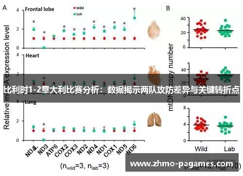 比利时1-2意大利比赛分析：数据揭示两队攻防差异与关键转折点