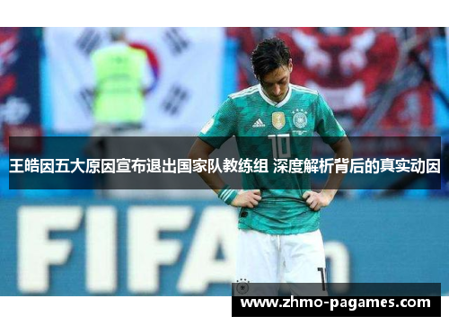 王皓因五大原因宣布退出国家队教练组 深度解析背后的真实动因