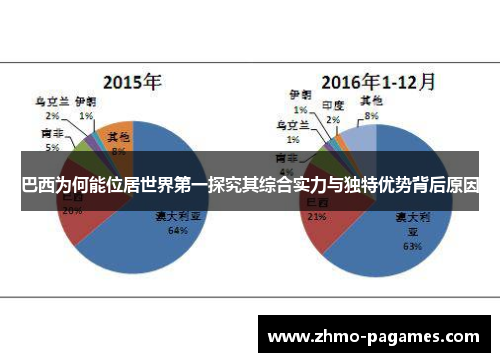 巴西为何能位居世界第一探究其综合实力与独特优势背后原因