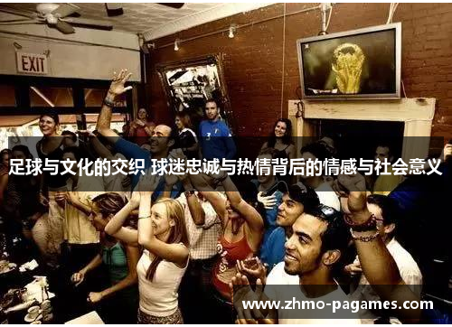 足球与文化的交织 球迷忠诚与热情背后的情感与社会意义